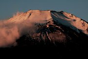 dsc_0552.jpg