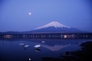 dsc_1156.jpg