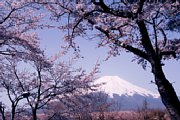 dsc_1485.jpg