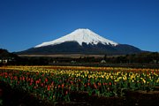 dsc_1712.jpg