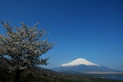dsc_1809.jpg