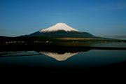 dsc_2021.jpg