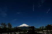dsc_2406.jpg