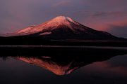 dsc_2476.jpg