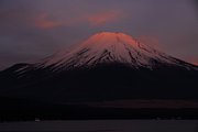 dsc_2499.jpg