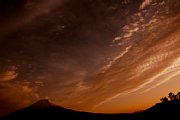 dsc_2590.jpg
