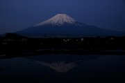 dsc_2697.jpg